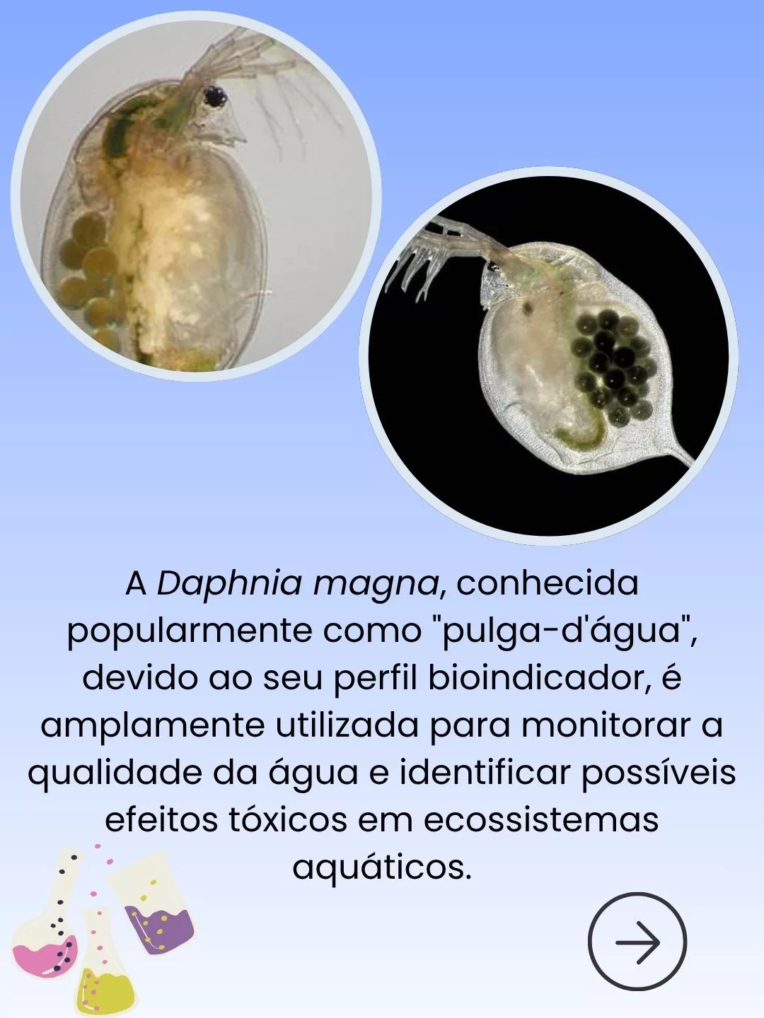 Pequenos Organismos, Grandes Respostas: Bioindicadores no CRIEC-Canoas - 2