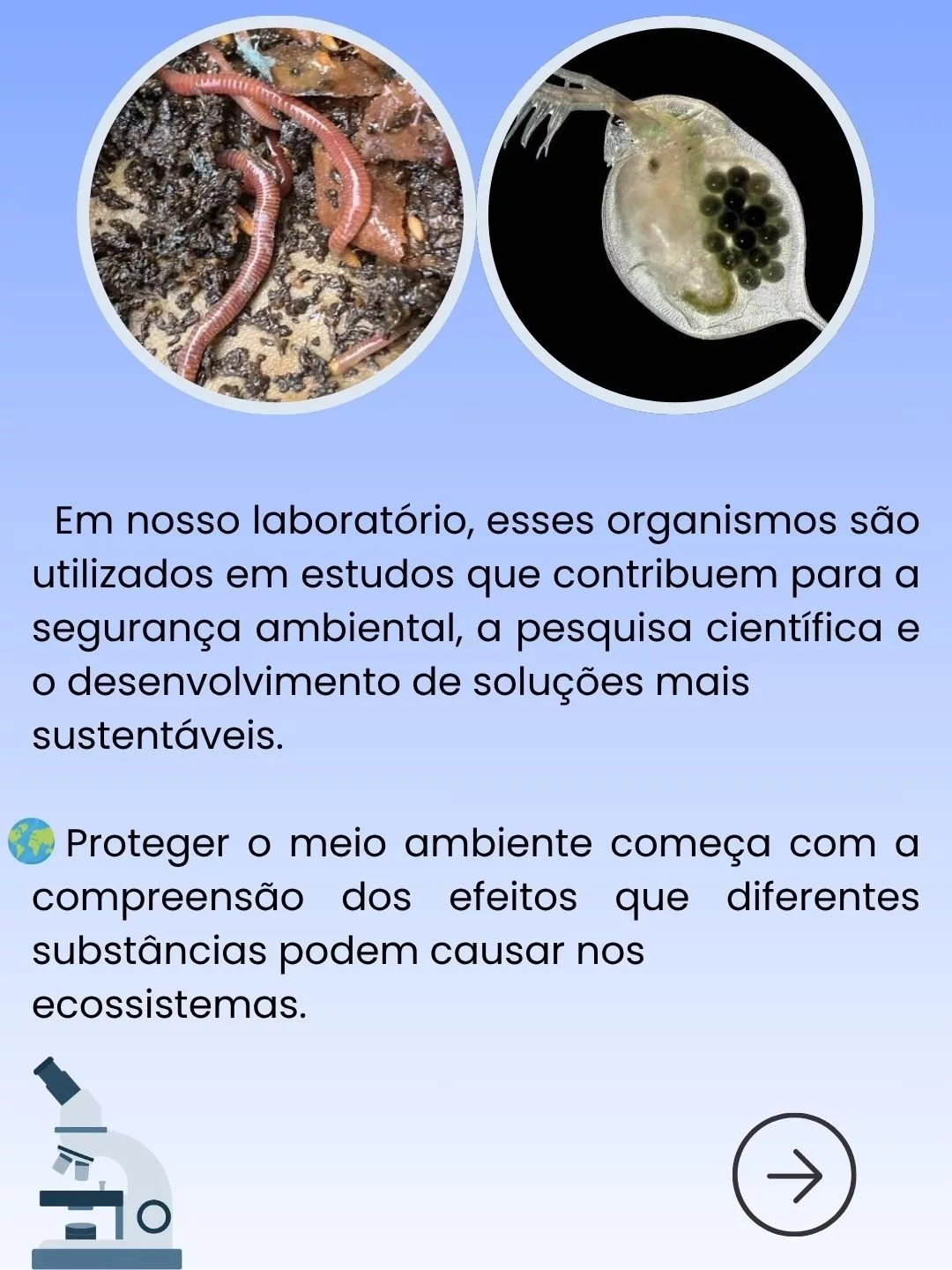 Pequenos Organismos, Grandes Respostas: Bioindicadores no CRIEC-Canoas - 4