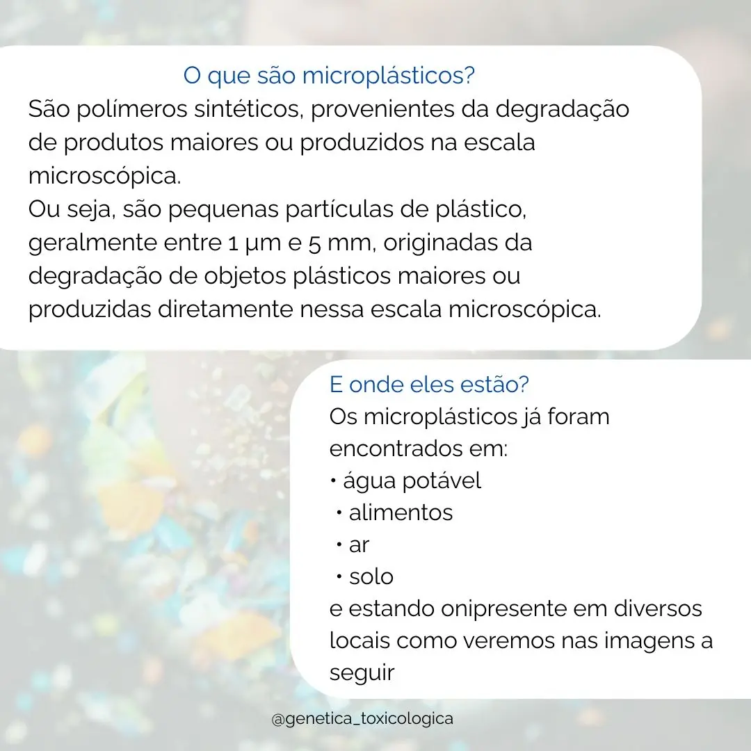 O Impacto dos Microplásticos na Saúde: Riscos e Consequências da Exposição - 3