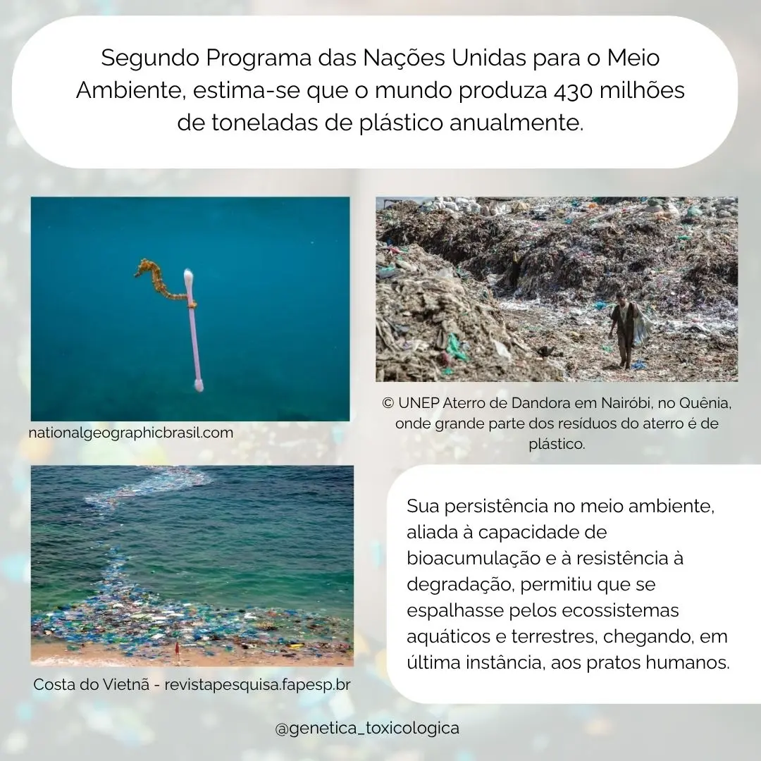 O Impacto dos Microplásticos na Saúde: Riscos e Consequências da Exposição - 5