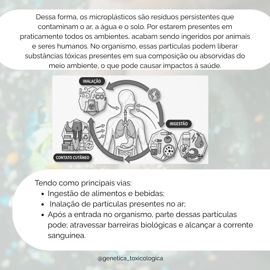 O Impacto dos Microplásticos na Saúde: Riscos e Consequências da Exposição - 6