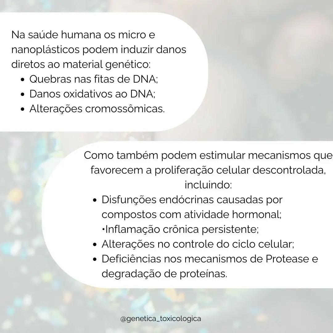 O Impacto dos Microplásticos na Saúde: Riscos e Consequências da Exposição - 8