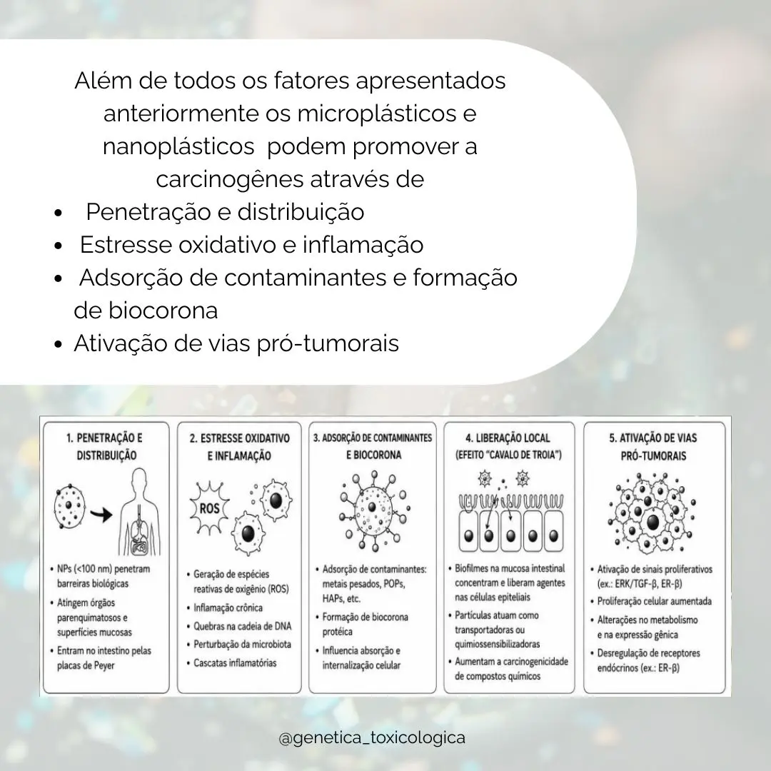O Impacto dos Microplásticos na Saúde: Riscos e Consequências da Exposição - 9