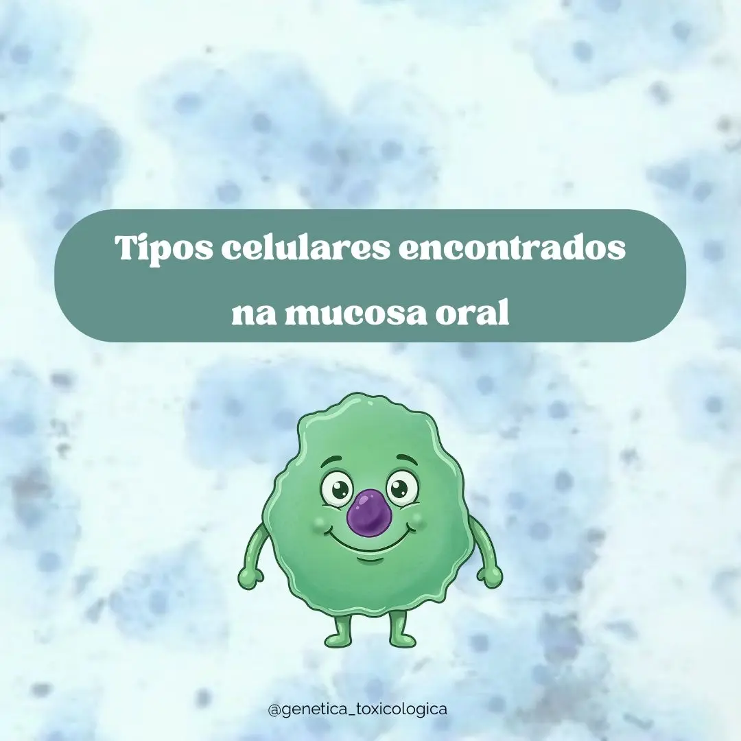 Tipos celulares encontrados na mucosa oral - 1