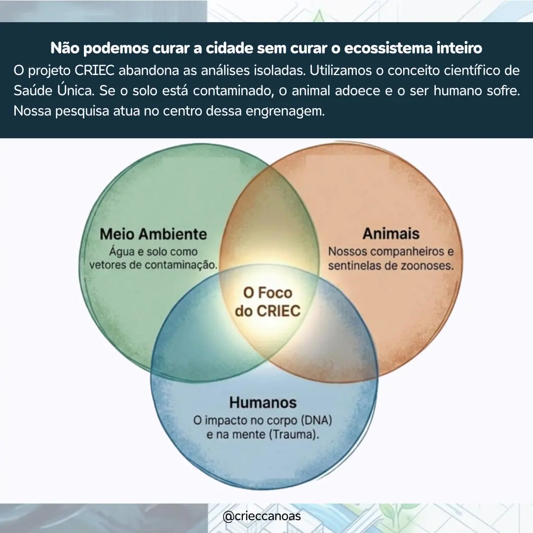 O futuro de Canoas: ciência e natureza contra as enchentes - 3
