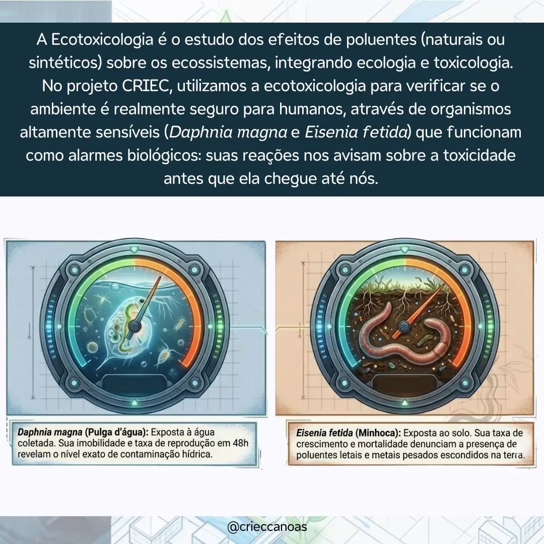 O que a água levou e os perigos invisíveis que ela deixou - 3