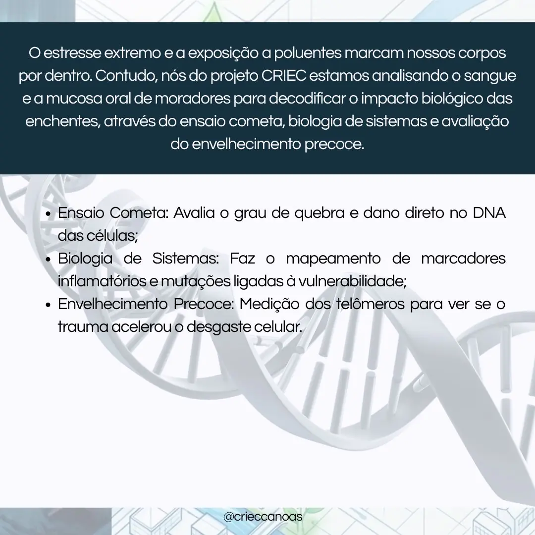 Cicatrizes Celulares: O Impacto do Desastre no Nosso DNA - 2