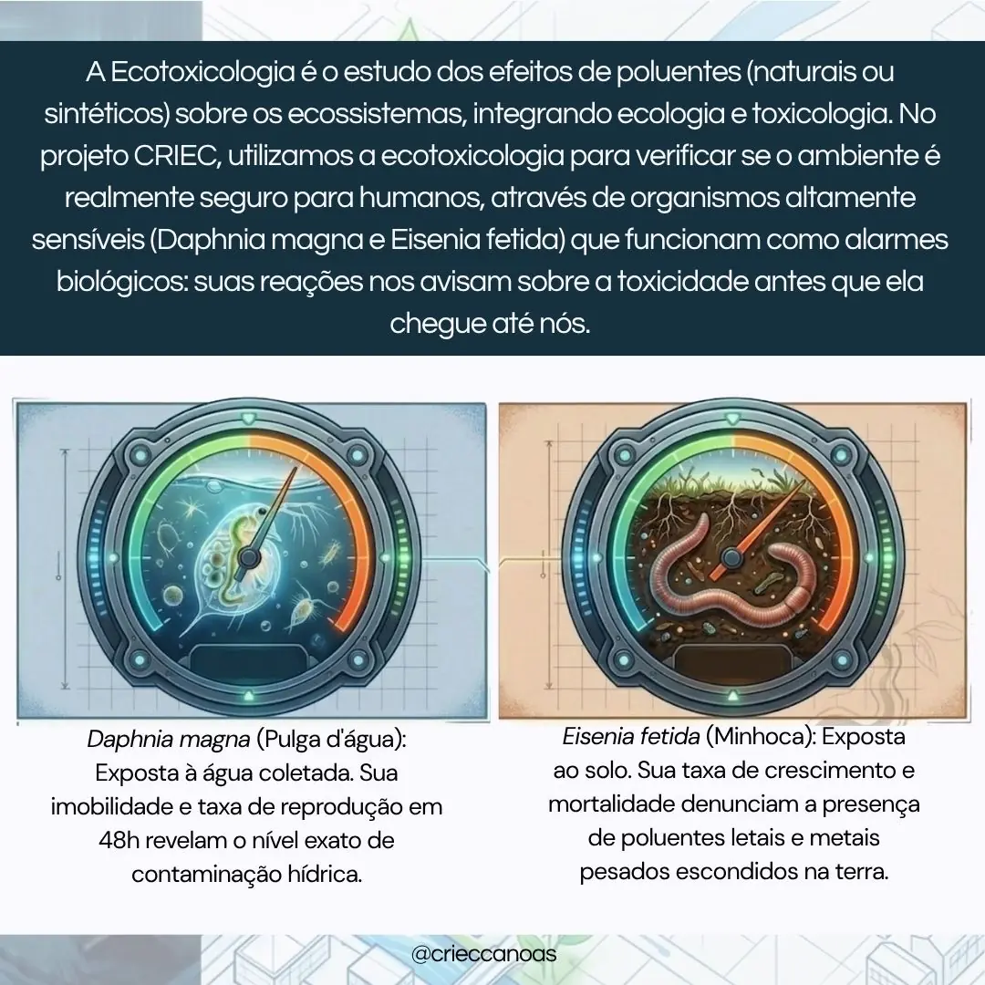 Cicatrizes Celulares: O Impacto do Desastre no Nosso DNA - 3