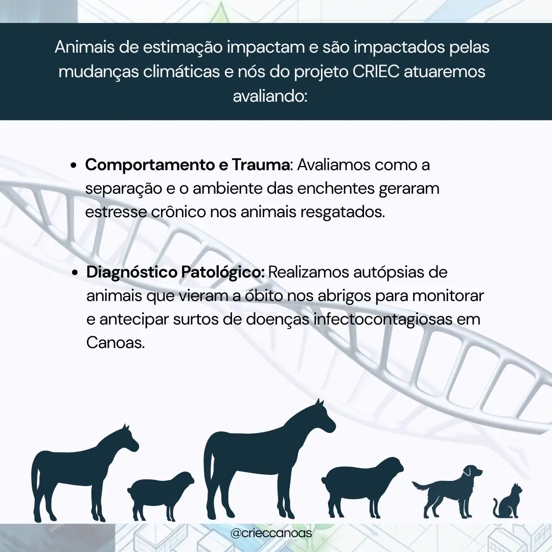 Nossos Companheiros: Vítimas e Vetores - 2