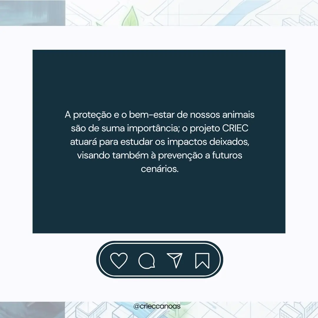 Nossos Companheiros: Vítimas e Vetores - 3